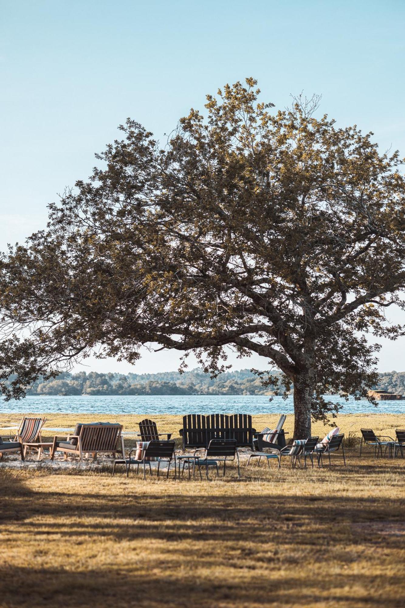 Villa De L'Etang Blanc Seignosse Kültér fotó
