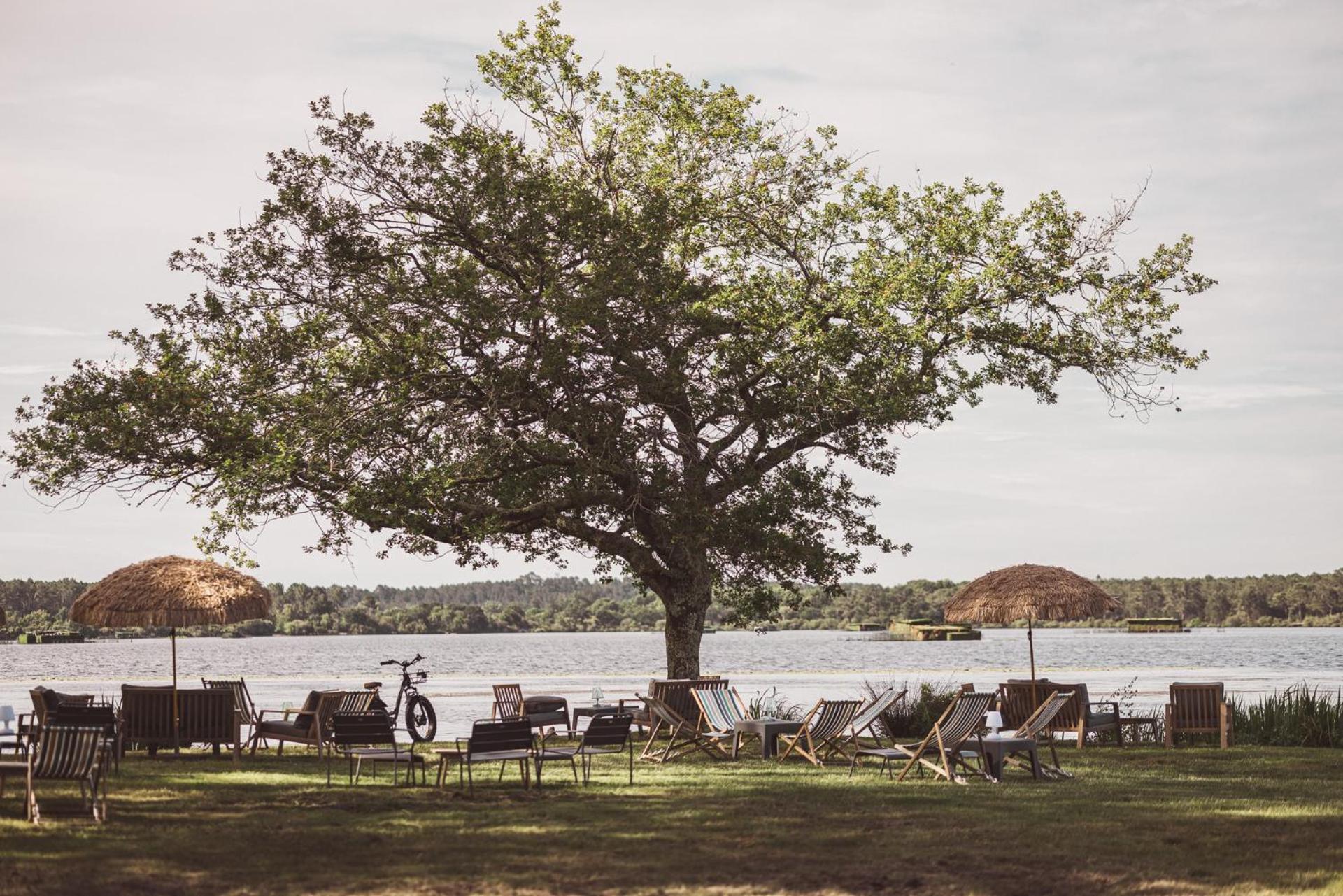 Villa De L'Etang Blanc Seignosse Kültér fotó