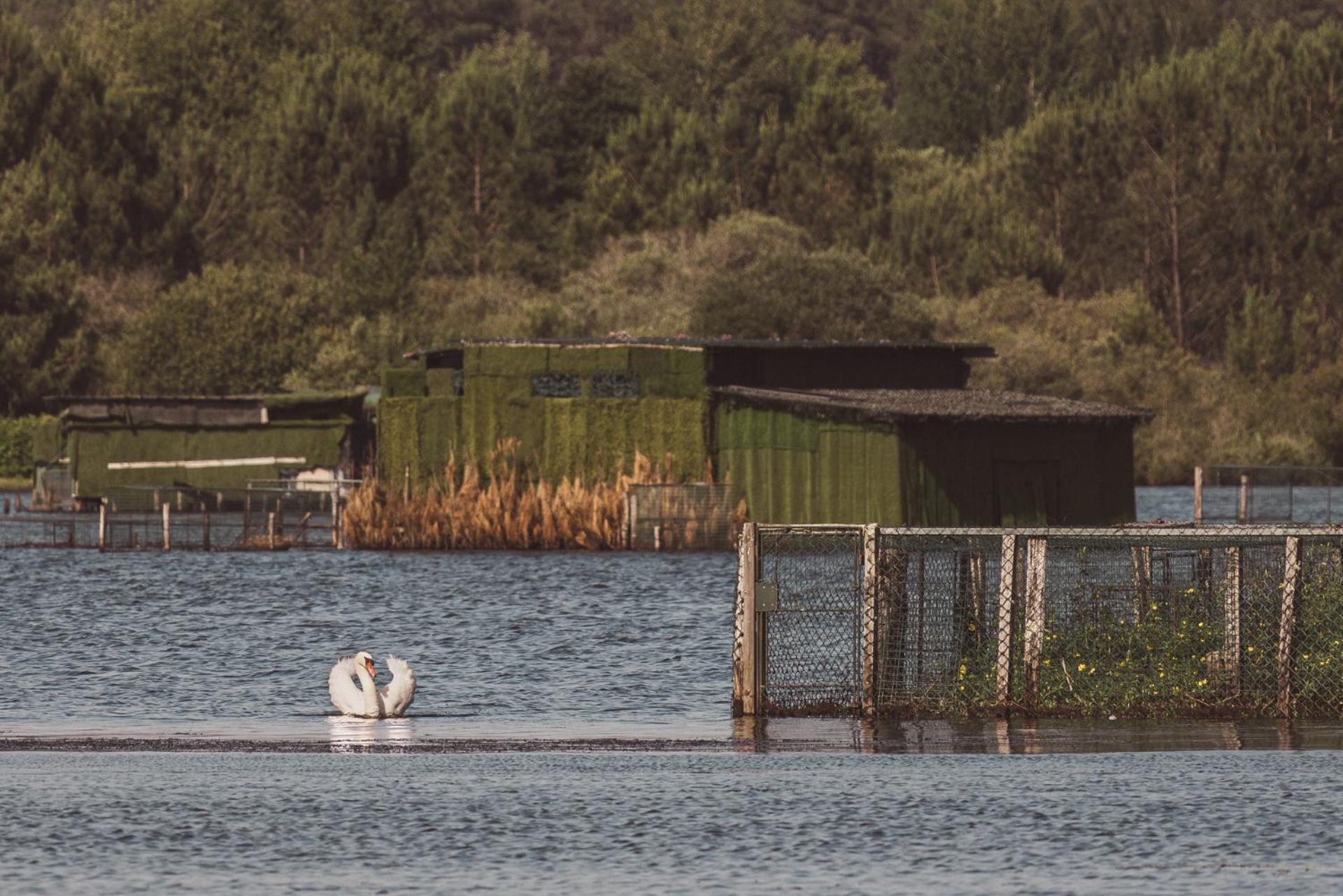 Villa De L'Etang Blanc Seignosse Kültér fotó