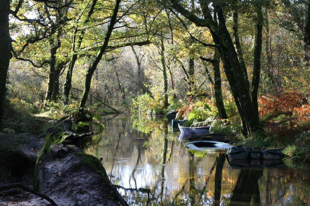 Villa De L'Etang Blanc Seignosse Kültér fotó
