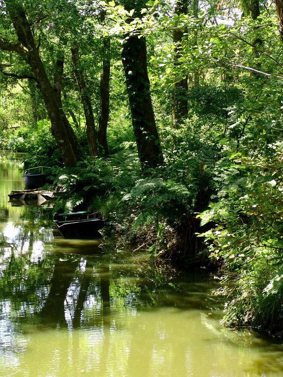 Villa De L'Etang Blanc Seignosse Kültér fotó